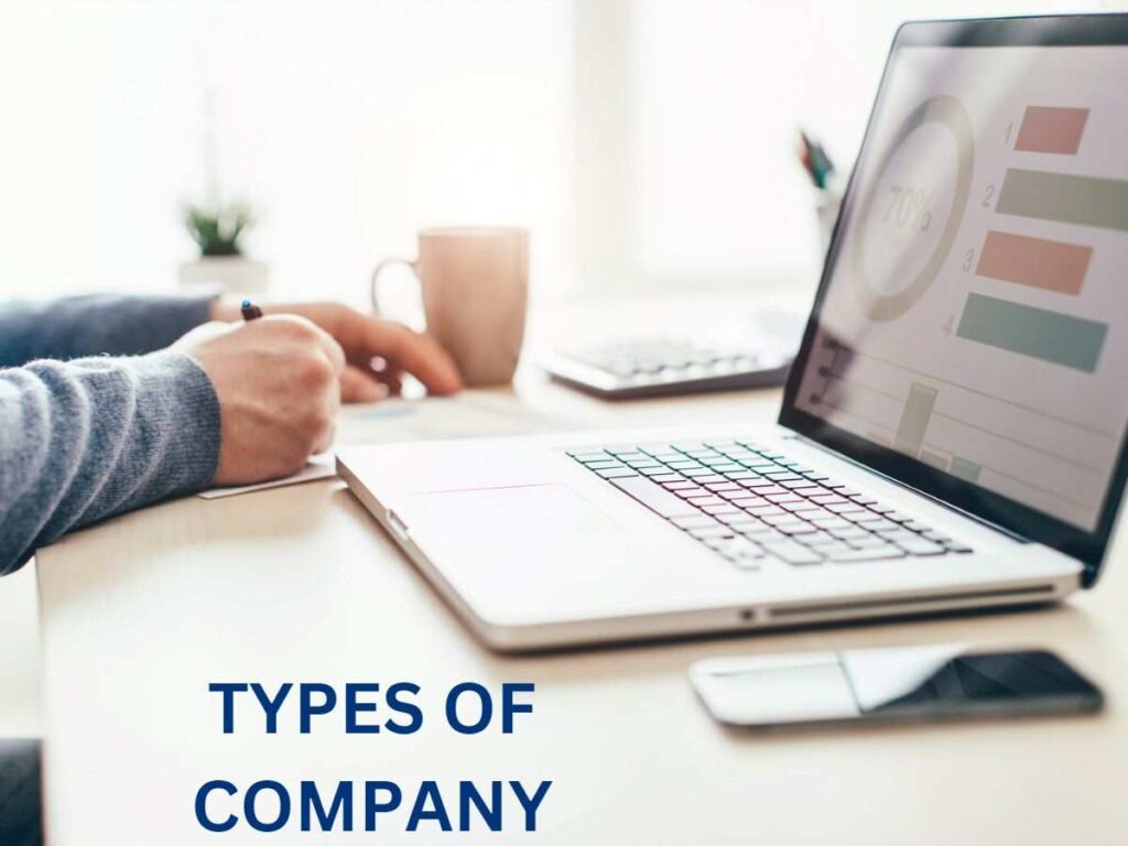 types of company